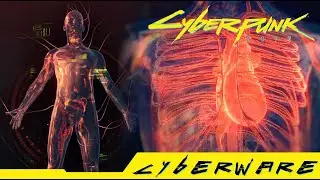 Cyberpunk 2077 - Where can you get Fireproof Coating Rare Cyberware