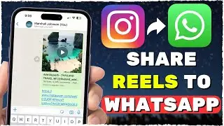 How To Share Instagram Reels On WhatsApp (2024)