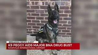 More than 100 pounds of marijuana seized at BNA