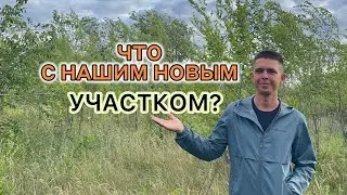 Шиндяевы: у нас потоп в Самарской области