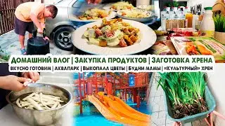 Домашний влог🏡Закупка продуктов🍊Летний салат🥗Чечевичный суп-пюре😋Чкмерули🍗Заготовка хрена