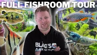 Blakes Aquatics Full Fishroom Tour - 46 Aquariums with Tanganyikans, Shrimp, Nano Fish and More!