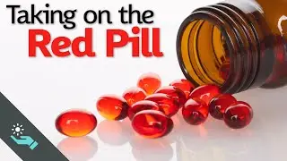 Taking on the Red Pill | Mens Rights Activism