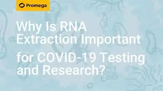 Why Is RNA Extraction Important for COVID-19 Testing and Research?