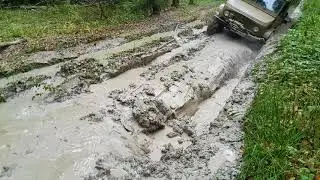 Настала осень , листья полетели