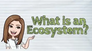 (SCIENCE) What is an Ecosystem? | #iQuestionPH