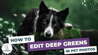 How to Edit Deep Green Tones in Pet Photos