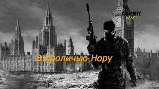 #16 Прохождение игры Call of Duty: Modern Warfare 3. В Кроличью Нору