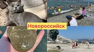 4️⃣3️⃣2️⃣#новороссийск Чуть не сдуло в Новороссийске🫣Бегу на море от амброзии.