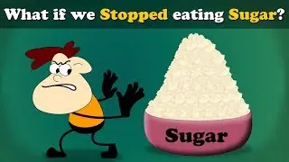 What if we Stopped eating Sugar? + more videos | #aumsum #kids #science #education #children