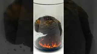 Something weird grows from this liquid