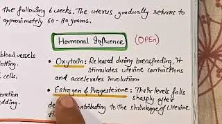 Uterine Involution - Easy Handwritten Notes