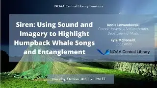 Siren: Using Sound and Imagery to Highlight Humpback Whale Songs and Entanglement