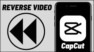 How to Reverse A Video On CapCut 2024 (Quick & Easy)