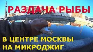 Раздача рыбы на микроджиг в центре Москвы. Рыбалка с мормышингом, перед запретом. Жерех и Окунь.