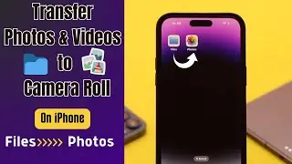 Move Photos and videos from Files App to iPhone/iPad Gallery! (How To)