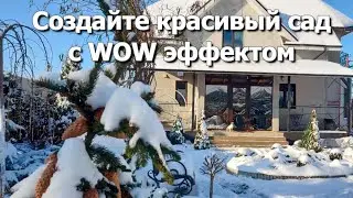 Создайте красивый сад с WOW эффектом | 4 эффекта визуальной неожиданности в моем саду