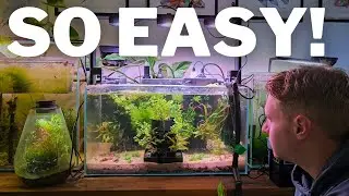 Instant, Modular and EASY Aquascaping with the Habistax