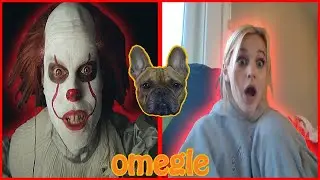 Pennywise jump scares people on Omegle (feat. Lida the dog)