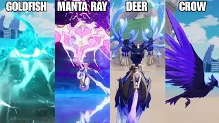 5 Types of Animals can Summon with Valkyrie  ( Honkai Impact 3 7.6)