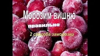 Как заморозить вишню. Правильный, проверенный способ, ягодка к ягодке. Заготовка на зиму.