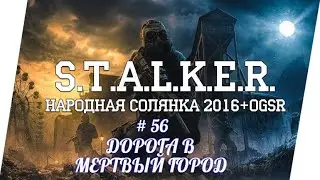 STALKER НС 2016 , ГИБЕЛЬ ПАНТЕРЫ, ПРОЩАНИЕ С МОЛНИЕЙ, ДОРОГА В МЕРТВЫЙ ГОРОД,