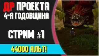 🔴 ДР проекта. Часть первая [New Dragon Nest]