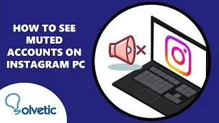 How To See Muted Accounts On Instagram PC