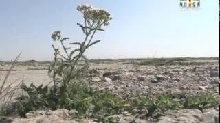 На аэродроме в посёлке Сокол заложили новую взлетную полосу