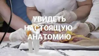 Энциклопедия тела. Тазобедренный сустав