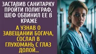 Заставив санитарку пройти полиграф, шеф обвинил ее в краже… А узнав о завещании богача, сослал в…