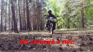 На мопеде в лес. По глухим местам.