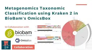 Metagenomics Taxonomic Classification using Kraken 2 in BioBam's OmicsBox