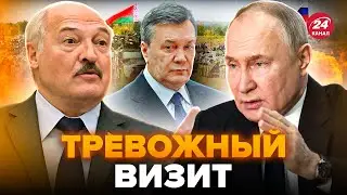 🤯ВОТ ЧТО затеяли Путин и Лукашенко! В Беларуси готовят МОБИЛИЗАЦИЮ? Зачем Кремлю ЯНУКОВИЧ – РОМАНОВА