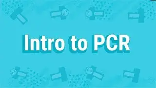 What is Polymerase Chain Reaction (PCR)?