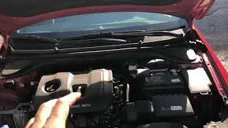 Adding Coolant - Hyundai Elantra