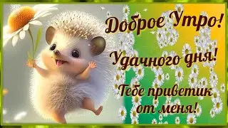 Доброе Утро! Удачного Дня! Тебе ПРИВЕТИК от меня! 🌺 Улыбнись)