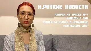 К.роткие Новости. авария На трассе М-7, новости с зоо, пожар на рынке в Челябинске, пылесосим снег