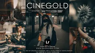 How to Edit Professional Cinematic Gold Photography | Mobile Lightroom Presets Free Download