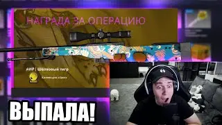 ВЫБИЛ AWP ШЁЛКОВЫЙ ТИГР СО ЗВЁЗД ОПЕРАЦИИ СЛОМАННЫЙ КЛЫК В КС ГО! ОТКРЫЛ БРАВО КЕЙСЫ В CS:GO