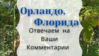 Ботанический Сад в Орландо. Обсуждаем Ваши Комментарии