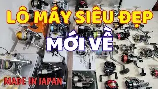 ( Về Lô Mới ) Máy Câu Nhật Bản Hàng Đẹp Chính Hãng | Shimano Daiwa 