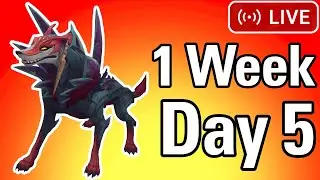 1 Week of Naafiri (Day 5)