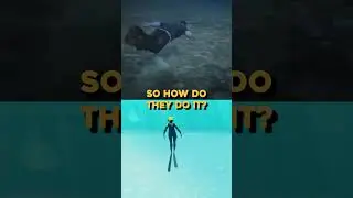 Underwater light in video games is a trick