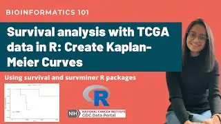 Survival analysis with TCGA data in R | Create Kaplan-Meier Curves