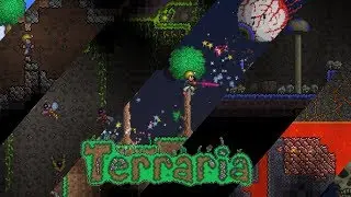 Оригенальное название для стрима по Terraria