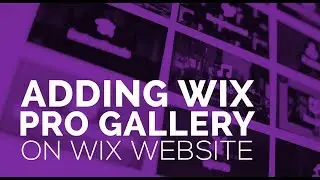 Adding Wix Pro Gallery To Your Wix Website