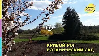 Ботанический сад . Кривой Рог. Весенняя прогулка. Релакс