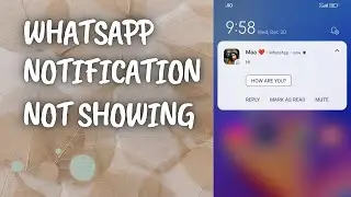 WhatsApp Notification Not Showing On Home Screen | WhatsApp Notification Not Coming Android