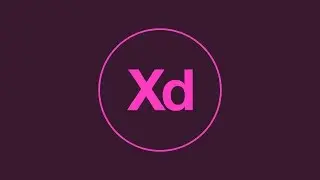 Adobe XD (Preview) The Basics of Adobe Experience Design | Dansky